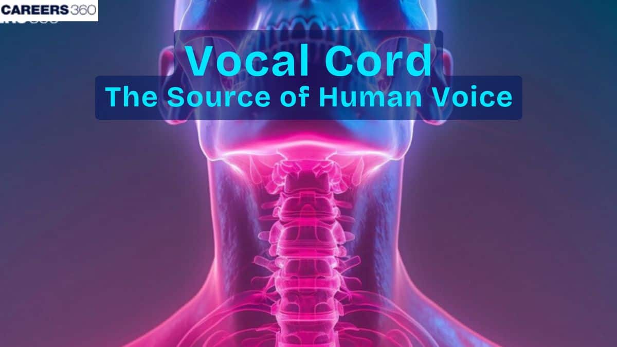 Vocal Cord - The Source Of Human Voice: Anatomy, Function, Topics